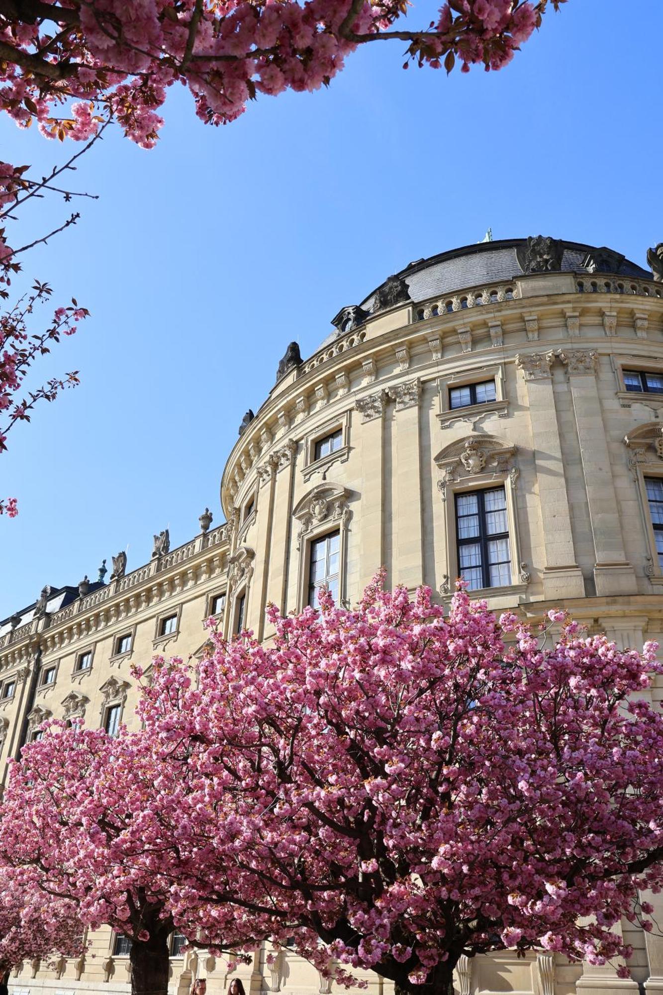 Ferienwohnung Ringpark-Ferien Würzburg Exterior foto